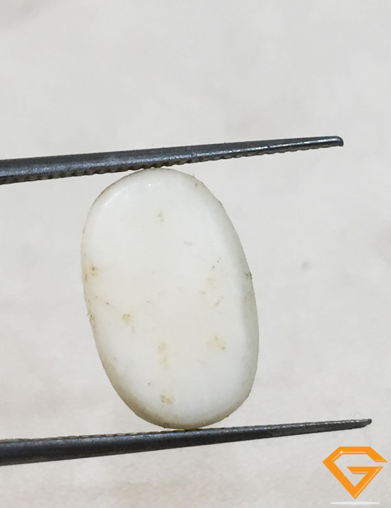 8.25 ratti/7.28 ct Natural Certified  White Coral/सफ़ेद मूंगा